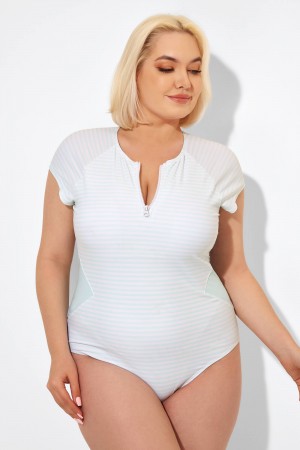 Blue & White Stripe One Piece Swimsuit with Sleeves